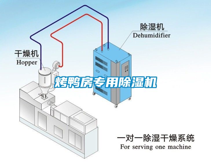 烤鴨房專(zhuān)用除濕機