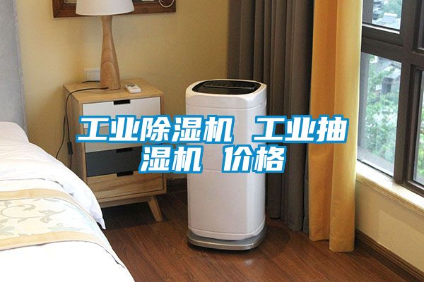 工業(yè)除濕機 工業(yè)抽濕機 價(jià)格
