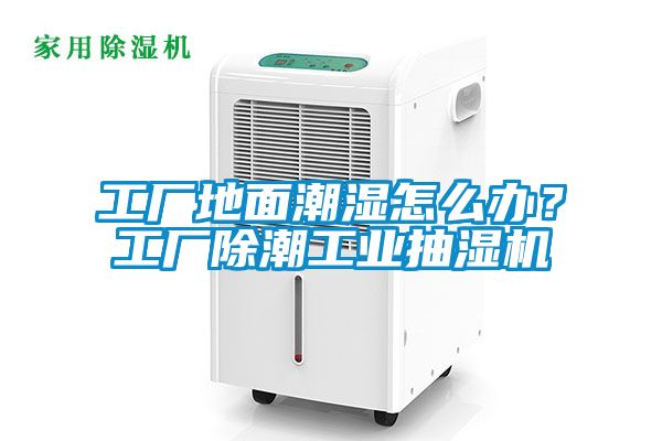 工廠(chǎng)地面潮濕怎么辦？工廠(chǎng)除潮工業(yè)抽濕機