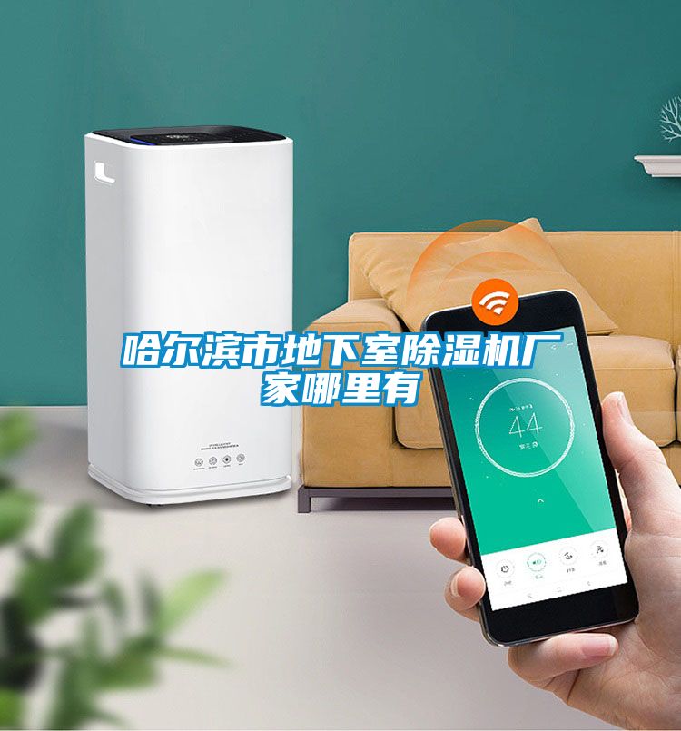 哈爾濱市地下室除濕機廠(chǎng)家哪里有
