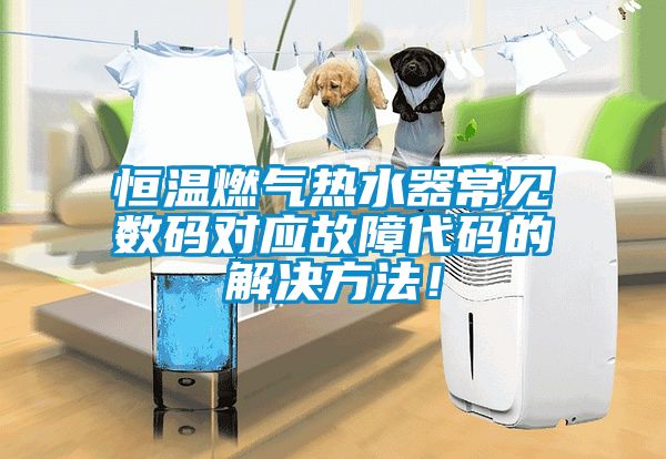 恒溫燃氣熱水器常見(jiàn)數碼對應故障代碼的解決方法！