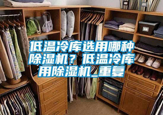 低溫冷庫選用哪種除濕機？低溫冷庫用除濕機_重復
