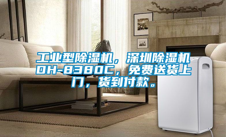 工業(yè)型除濕機，深圳除濕機DH-8380C，免費送貨上門(mén)，貨到付款。