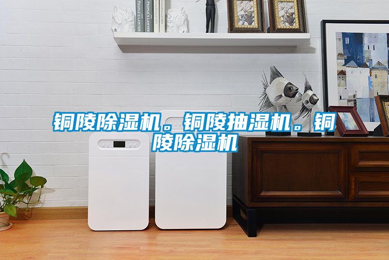 銅陵除濕機。銅陵抽濕機。銅陵除濕機