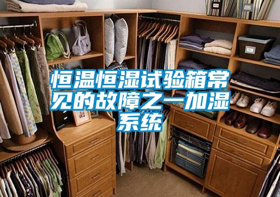 恒溫恒濕試驗箱常見(jiàn)的故障之一加濕系統