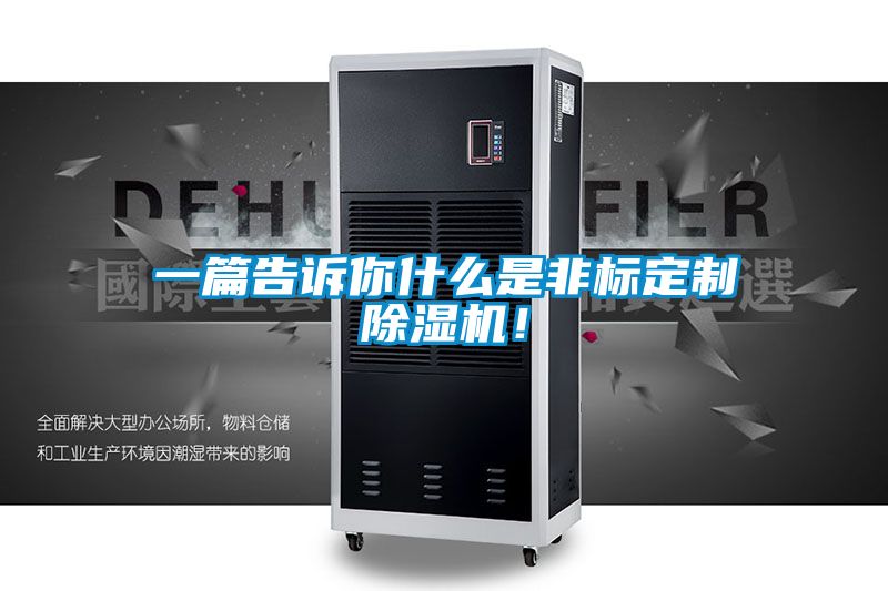 一篇告訴你什么是非標定制除濕機！