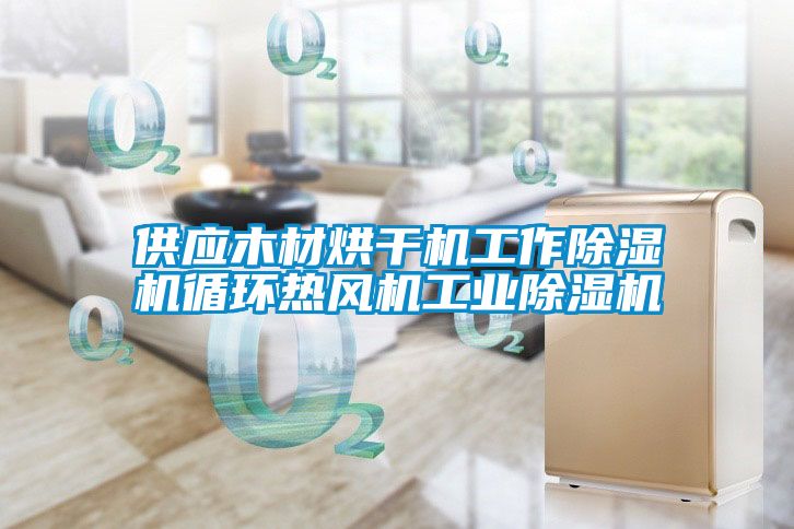 供應木材烘干機工作除濕機循環(huán)熱風(fēng)機工業(yè)除濕機