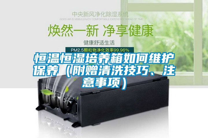 恒溫恒濕培養箱如何維護保養（附贈清洗技巧、注意事項）
