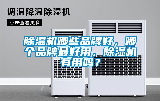 除濕機哪些品牌好，哪個(gè)品牌最好用，除濕機有用嗎？