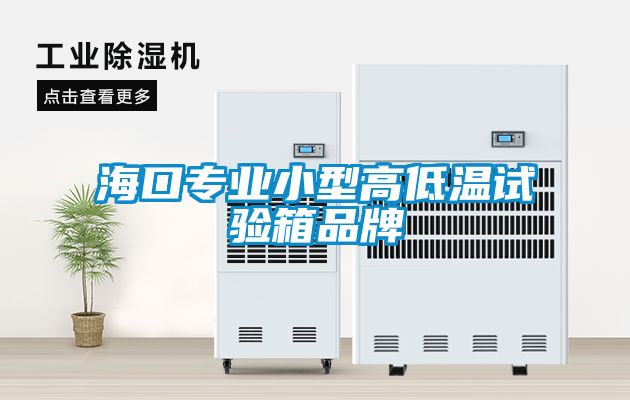 ?？趯?zhuān)業(yè)小型高低溫試驗箱品牌