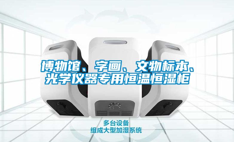 博物館、字畫(huà)、文物標本、光學(xué)儀器專(zhuān)用恒溫恒濕柜
