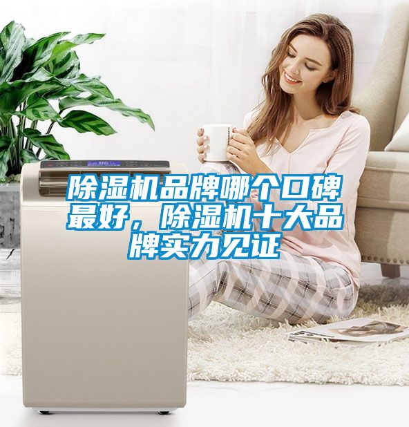 除濕機品牌哪個(gè)口碑最好，除濕機十大品牌實(shí)力見(jiàn)證