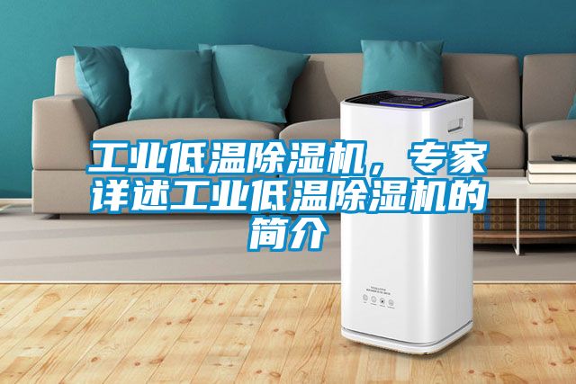工業(yè)低溫除濕機，專(zhuān)家詳述工業(yè)低溫除濕機的簡(jiǎn)介