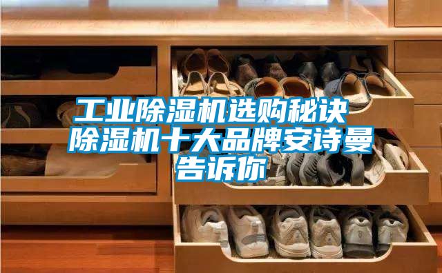 工業(yè)除濕機選購秘訣 除濕機十大品牌安詩(shī)曼告訴你