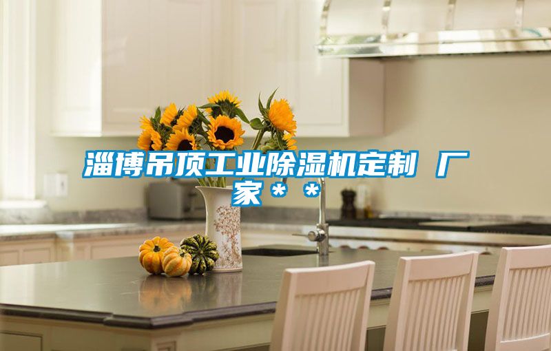 淄博吊頂工業(yè)除濕機定制 廠(chǎng)家＊＊