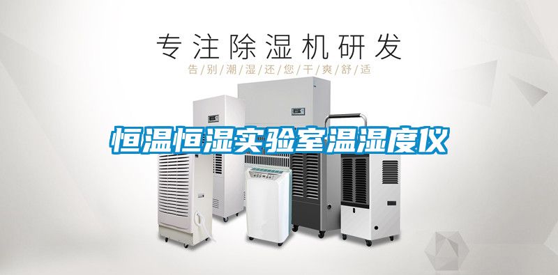 恒溫恒濕實(shí)驗室溫濕度儀