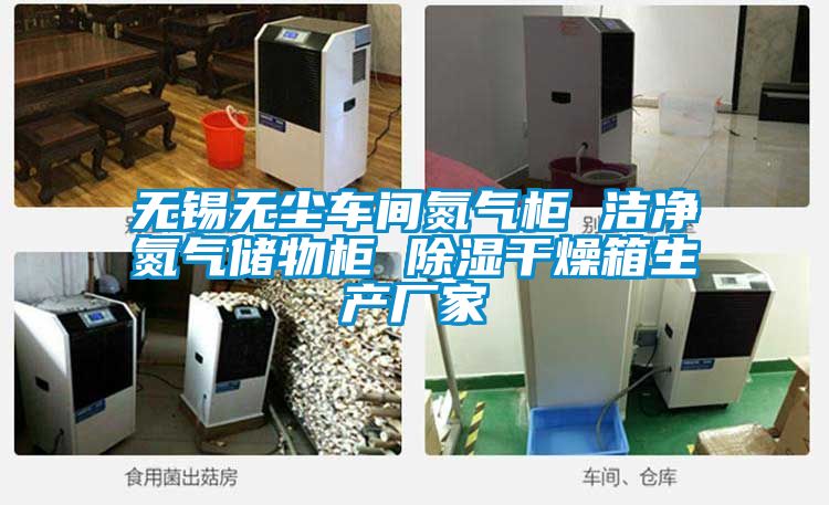 無(wú)錫無(wú)塵車(chē)間氮氣柜 潔凈氮氣儲物柜 除濕干燥箱生產(chǎn)廠(chǎng)家
