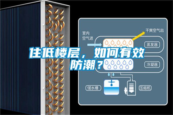 住低樓層，如何有效防潮？