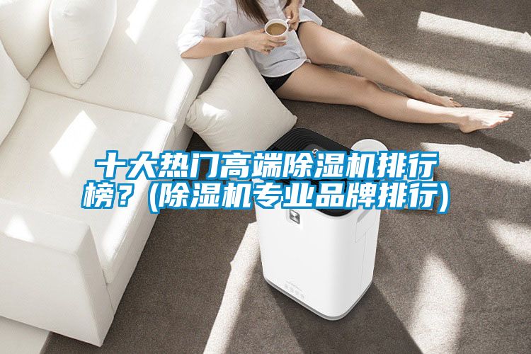 十大熱門(mén)高端除濕機排行榜？(除濕機專(zhuān)業(yè)品牌排行)