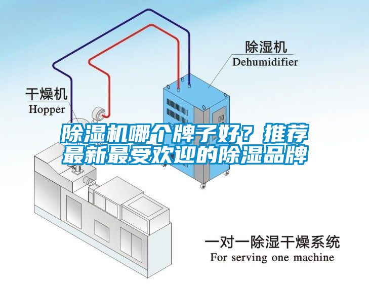 除濕機哪個(gè)牌子好？推薦最新最受歡迎的除濕品牌