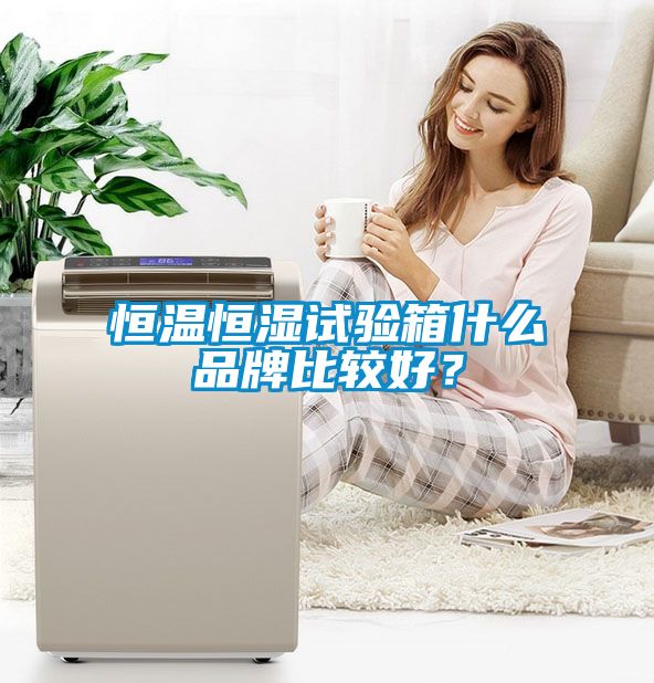 恒溫恒濕試驗箱什么品牌比較好？