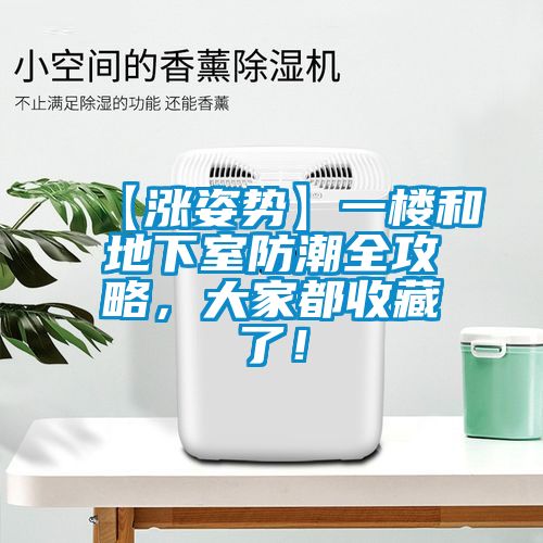 【漲姿勢】一樓和地下室防潮全攻略，大家都收藏了！
