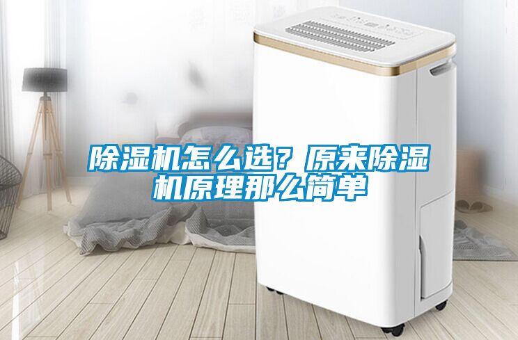 除濕機怎么選？原來(lái)除濕機原理那么簡(jiǎn)單
