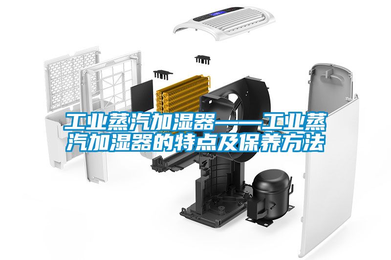工業(yè)蒸汽加濕器——工業(yè)蒸汽加濕器的特點(diǎn)及保養方法