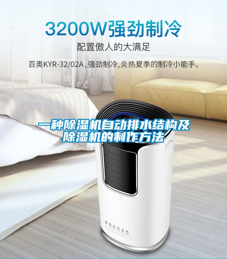 一種除濕機自動(dòng)排水結構及除濕機的制作方法