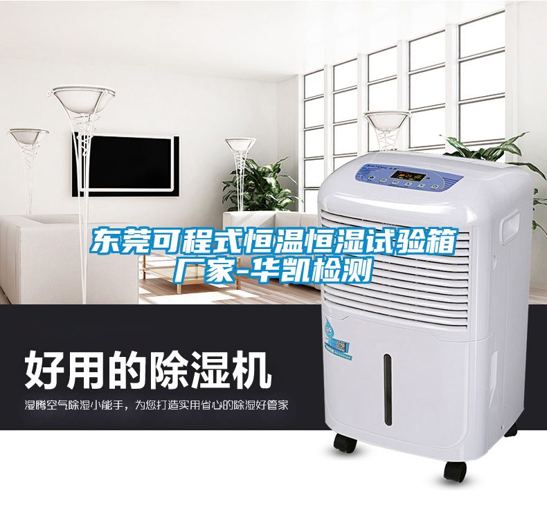 東莞可程式恒溫恒濕試驗箱廠(chǎng)家-華凱檢測
