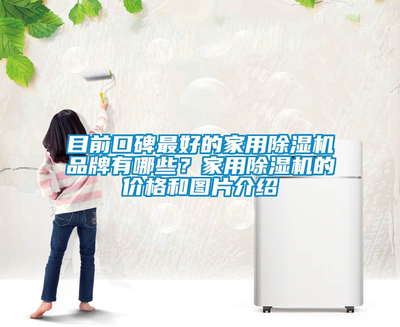 目前口碑最好的家用除濕機品牌有哪些？家用除濕機的價(jià)格和圖片介紹