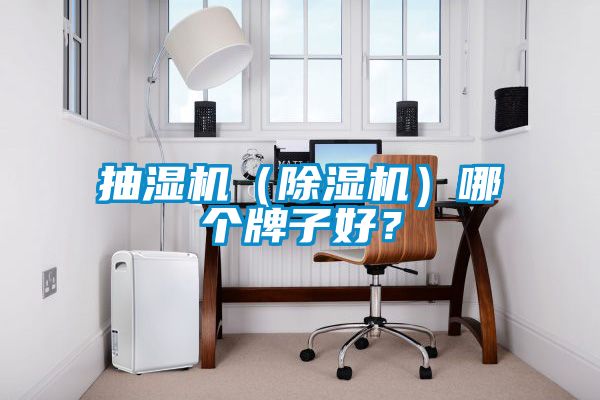 抽濕機（除濕機）哪個(gè)牌子好？