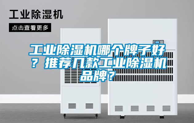工業(yè)除濕機哪個(gè)牌子好？推薦幾款工業(yè)除濕機品牌？