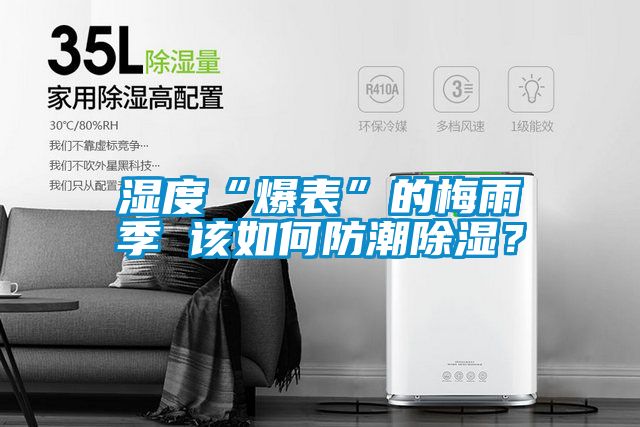 濕度“爆表”的梅雨季 該如何防潮除濕？