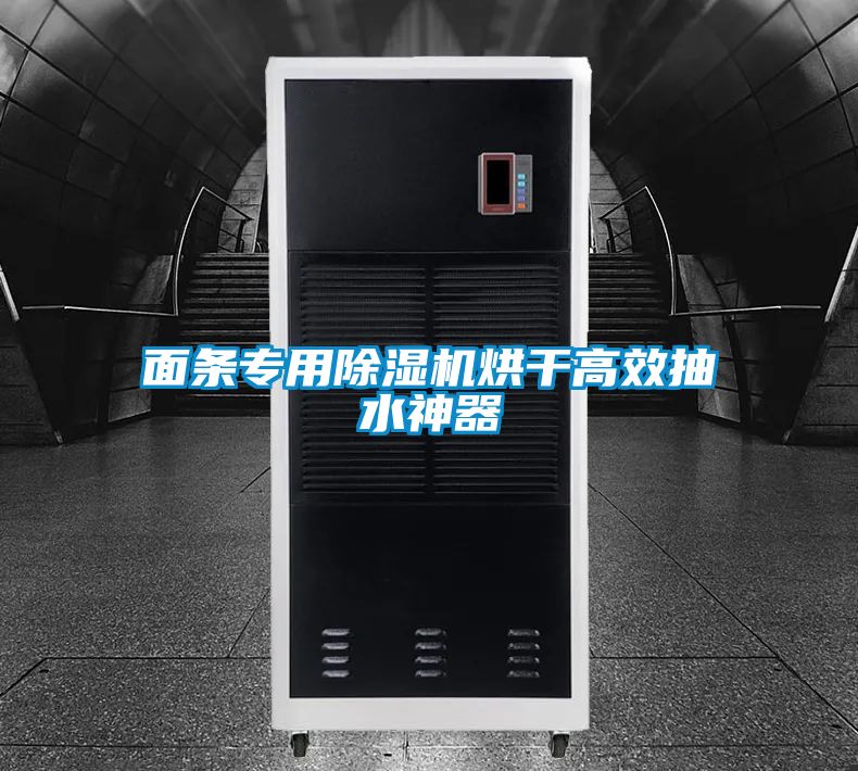面條專(zhuān)用除濕機烘干高效抽水神器