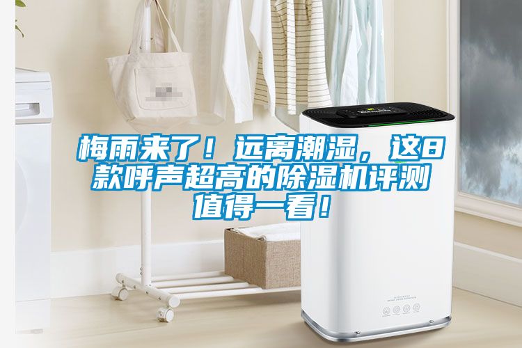 梅雨來(lái)了！遠離潮濕，這8款呼聲超高的除濕機評測值得一看！