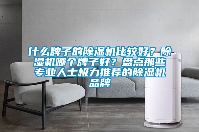 什么牌子的除濕機比較好？除濕機哪個(gè)牌子好？盤(pán)點(diǎn)那些專(zhuān)業(yè)人士極力推薦的除濕機品牌