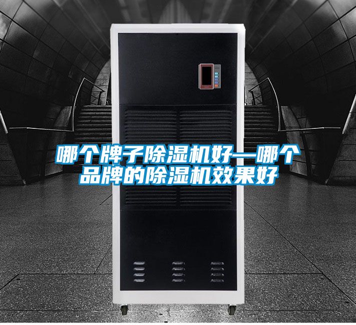 哪個(gè)牌子除濕機好—哪個(gè)品牌的除濕機效果好