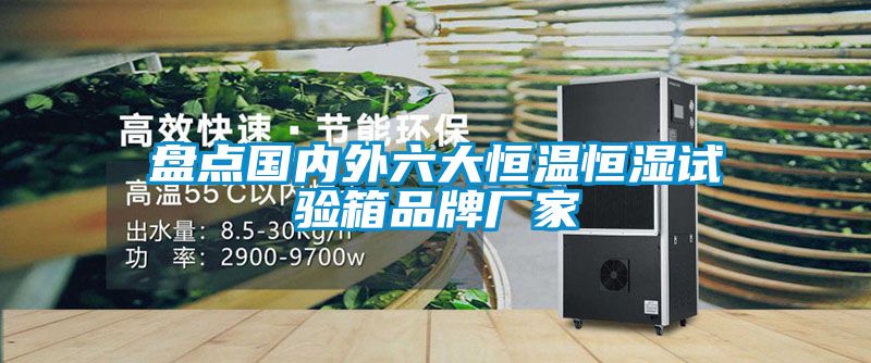 盤(pán)點(diǎn)國內外六大恒溫恒濕試驗箱品牌廠(chǎng)家