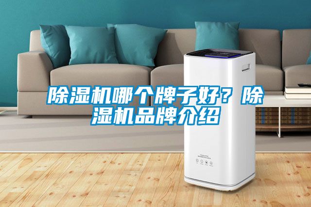 除濕機哪個(gè)牌子好？除濕機品牌介紹
