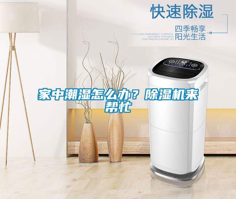 家中潮濕怎么辦？除濕機來(lái)幫忙