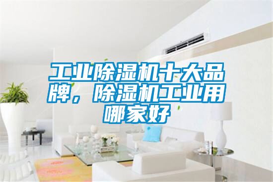 工業(yè)除濕機十大品牌，除濕機工業(yè)用哪家好