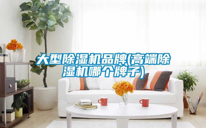 大型除濕機品牌(高端除濕機哪個(gè)牌子)