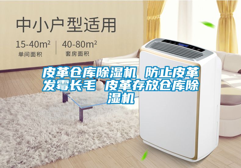 皮革倉庫除濕機 防止皮革發(fā)霉長(cháng)毛 皮革存放倉庫除濕機