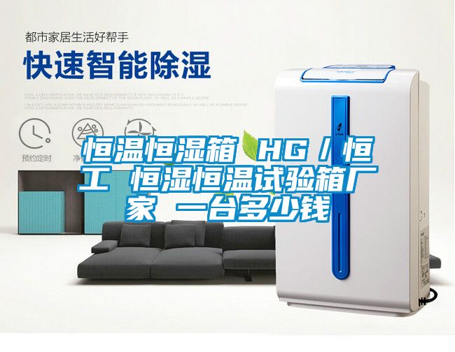 恒溫恒濕箱 HG／恒工 恒濕恒溫試驗箱廠(chǎng)家 一臺多少錢(qián)