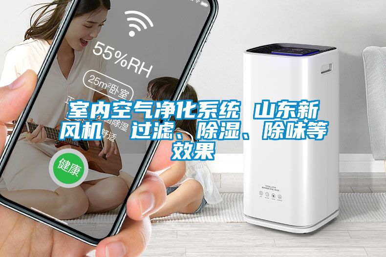室內空氣凈化系統 山東新風(fēng)機  過(guò)濾、除濕、除味等效果