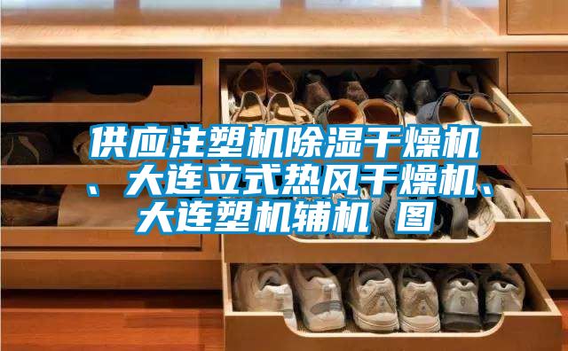 供應注塑機除濕干燥機、大連立式熱風(fēng)干燥機、大連塑機輔機 圖