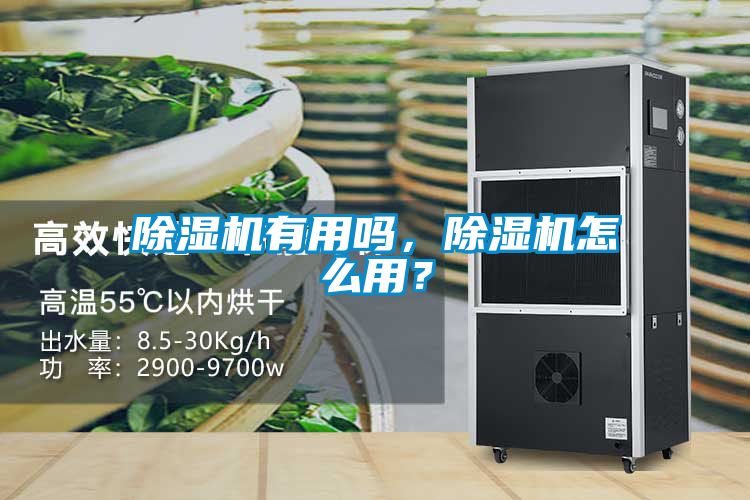 除濕機有用嗎，除濕機怎么用？