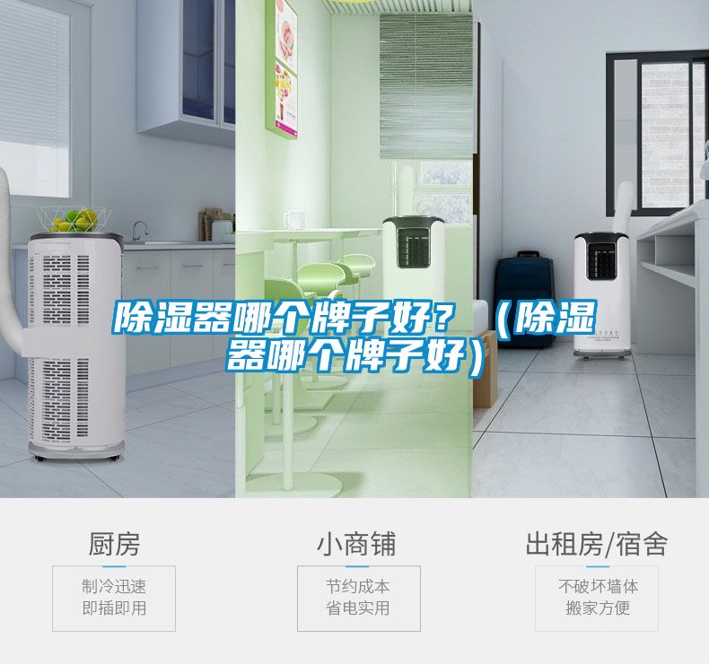 除濕器哪個(gè)牌子好？（除濕器哪個(gè)牌子好）