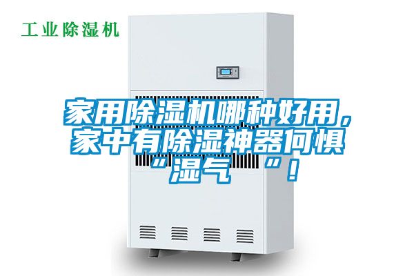 家用除濕機哪種好用，家中有除濕神器何懼 “濕氣 “！